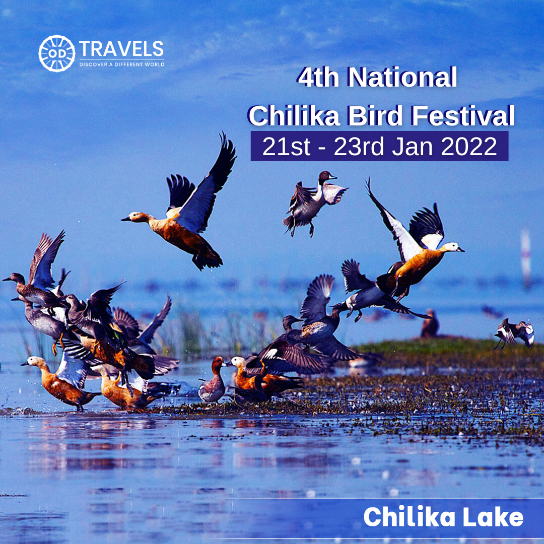 Chilika Lake tour package with boat ride